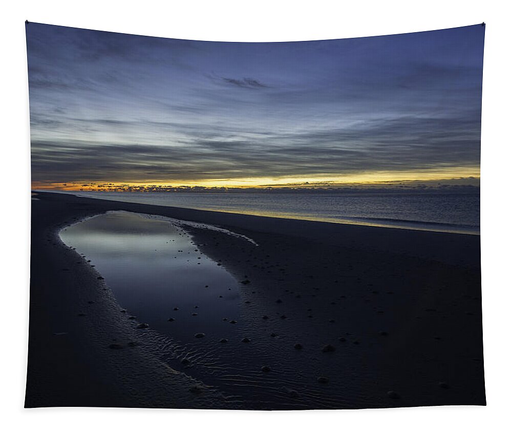 Palm Tapestry featuring the digital art 20 Degree Beach Sunrise by Michael Thomas