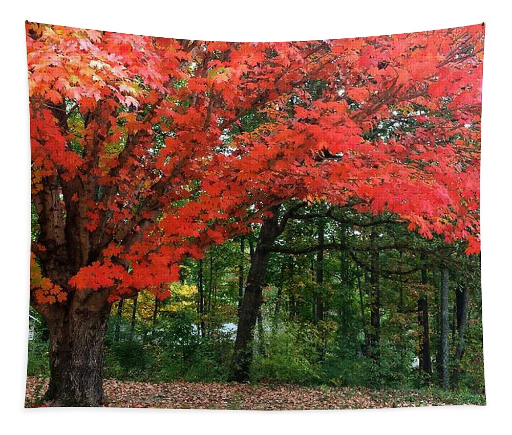 Fall Tapestry featuring the photograph Fall Explosion of Color #20 by Kenny Glover