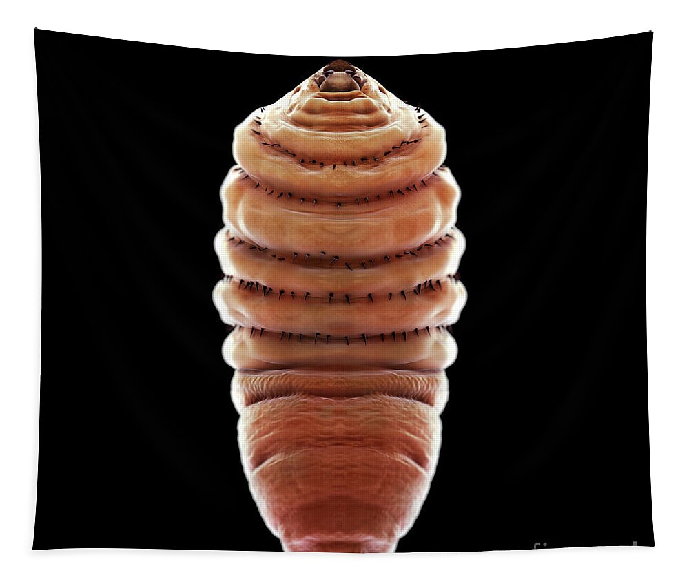 3d Visualization Tapestry featuring the photograph Bot Fly Larva #3 by Science Picture Co