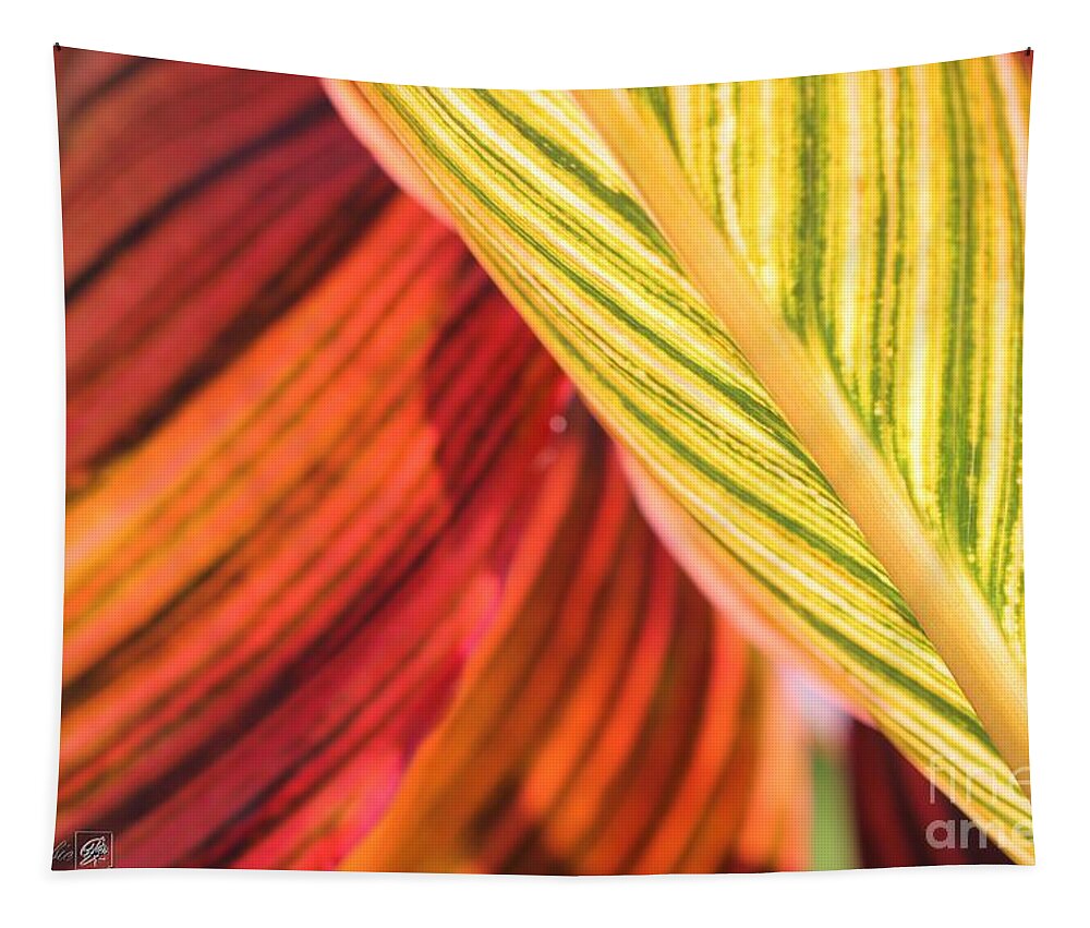Mccombie Tapestry featuring the photograph Canna Lily named Durban #1 by J McCombie