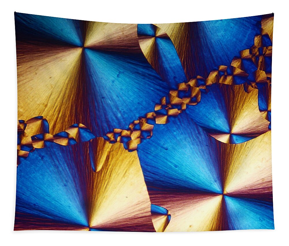 Polarize Tapestry featuring the photograph Cholesterol Acetate #3 by Charles Gellis