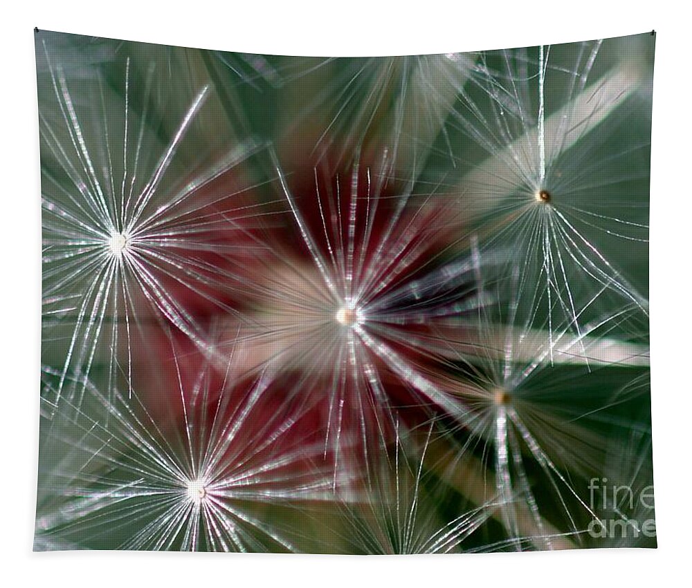 Abstract Tapestry featuring the photograph Dandelion Seed Head #3 by Henrik Lehnerer