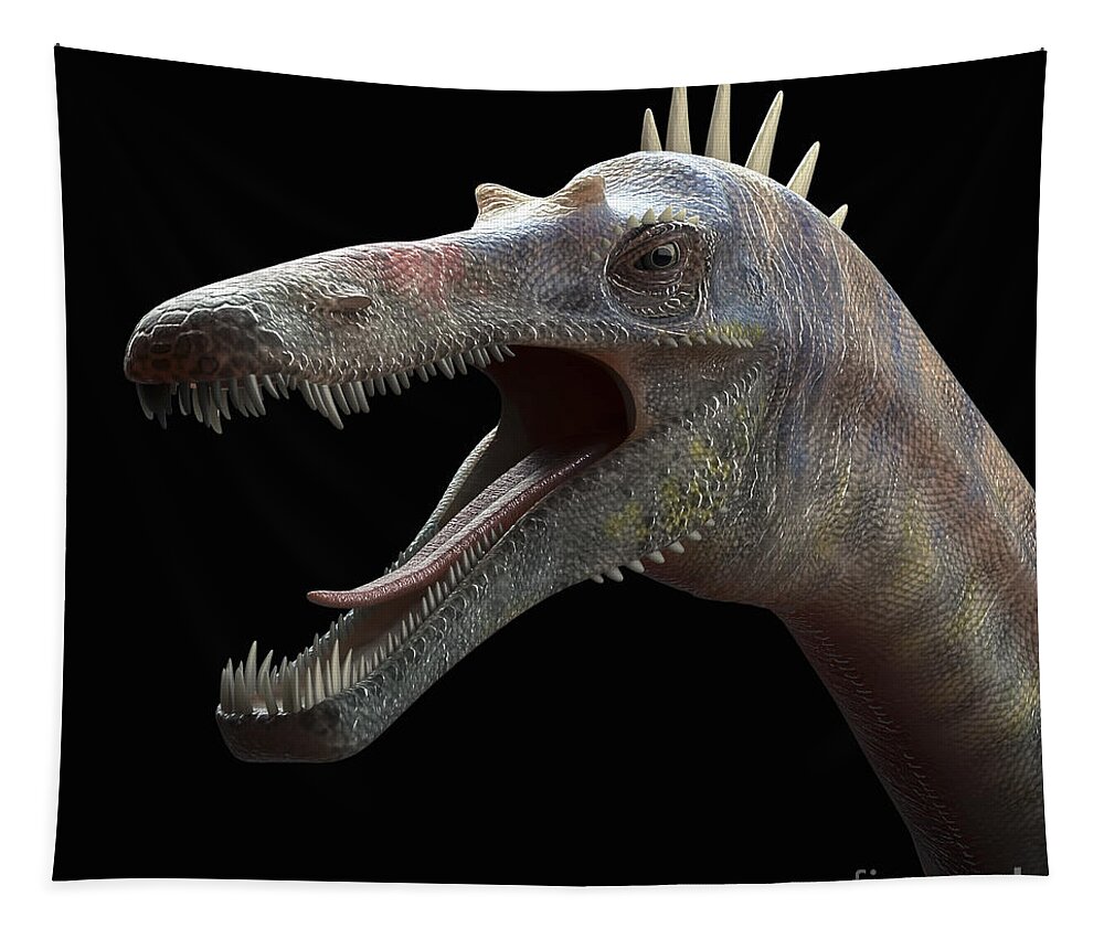 Prehistoric Tapestry featuring the photograph Dinosaur Suchomimus #3 by Science Picture Co
