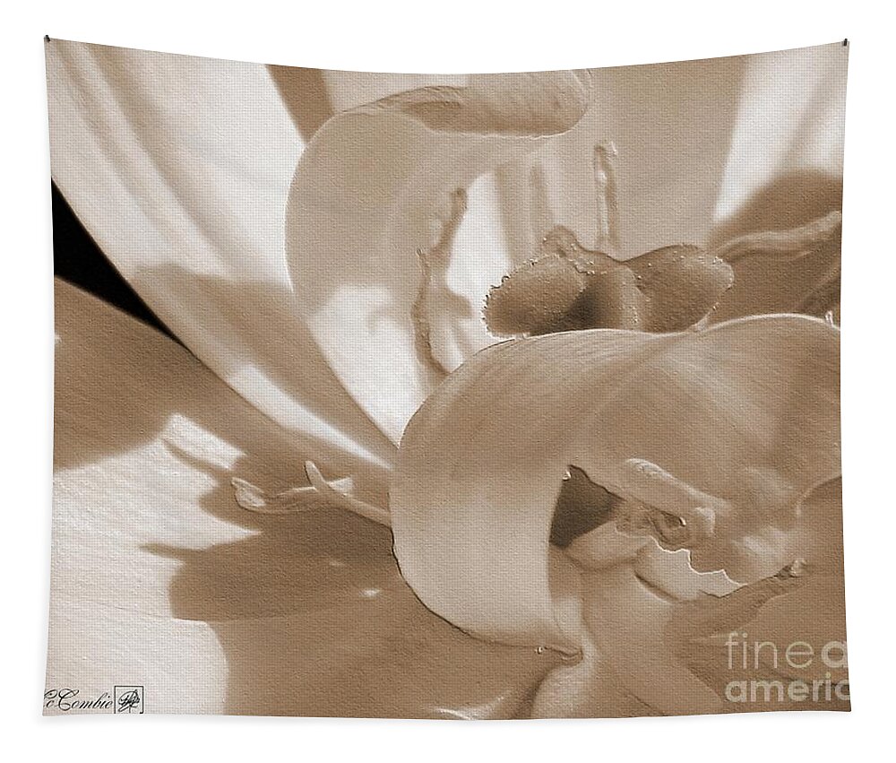 Double Late Tulip Tapestry featuring the photograph Double Late Tulip named Angelique #3 by J McCombie