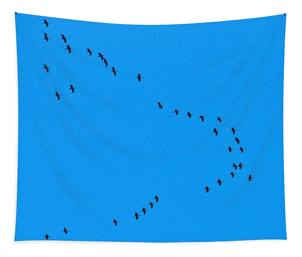 Lehto Tapestry featuring the photograph Eurasian Cranes #3 by Jouko Lehto