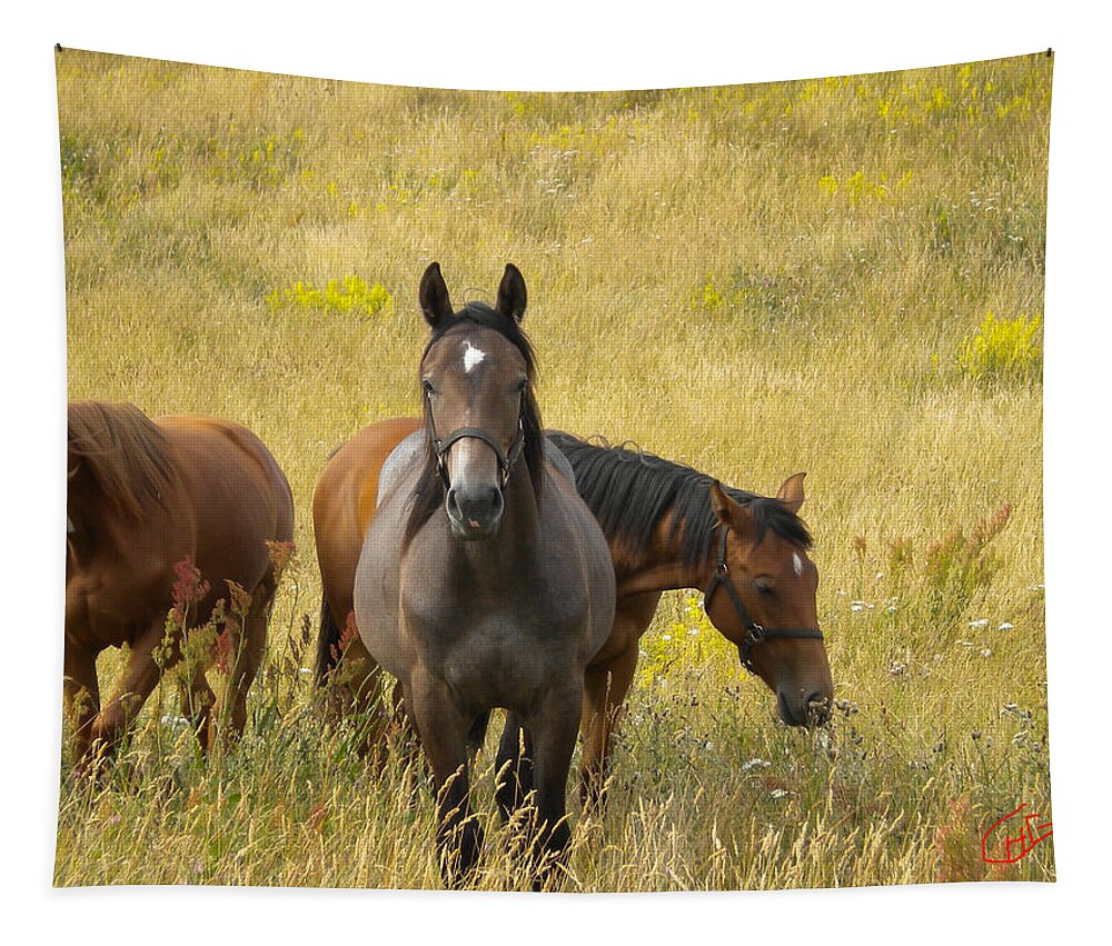 Colette Tapestry featuring the photograph 3 Free happy Horse Friends Joy on Samsoe Island Denmark by Colette V Hera Guggenheim