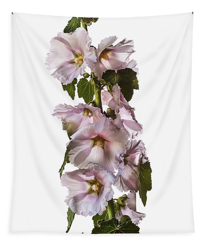 Flower Tapestry featuring the photograph Hollyhock #3 by Endre Balogh