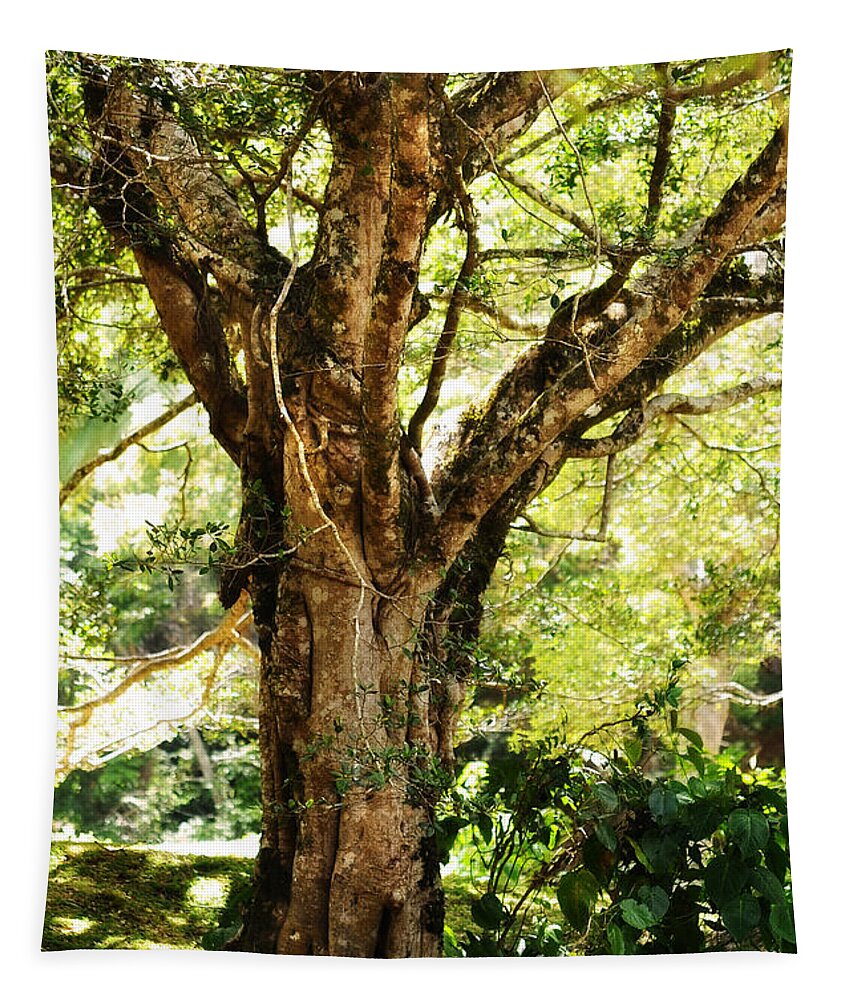 Nature Tapestry featuring the photograph Kingdom of the Trees. Peradeniya Botanical Garden. Sri Lanka #3 by Jenny Rainbow