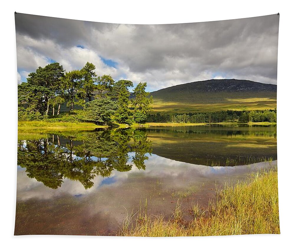 Loch Tulla Tapestry featuring the photograph Loch Tulla #3 by Stephen Taylor