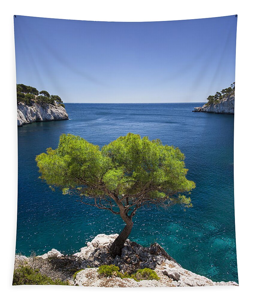 Provence Tapestry featuring the photograph Lone Pine Tree #2 by Brian Jannsen