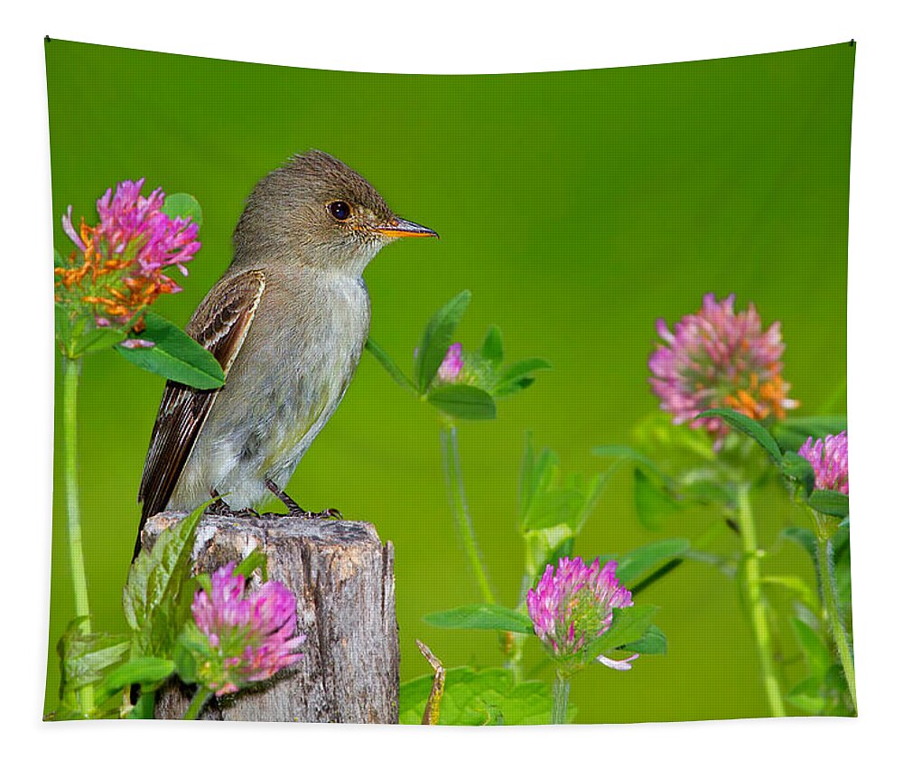  Songbird Tapestry featuring the photograph Pretty In Pink 2 by John Absher