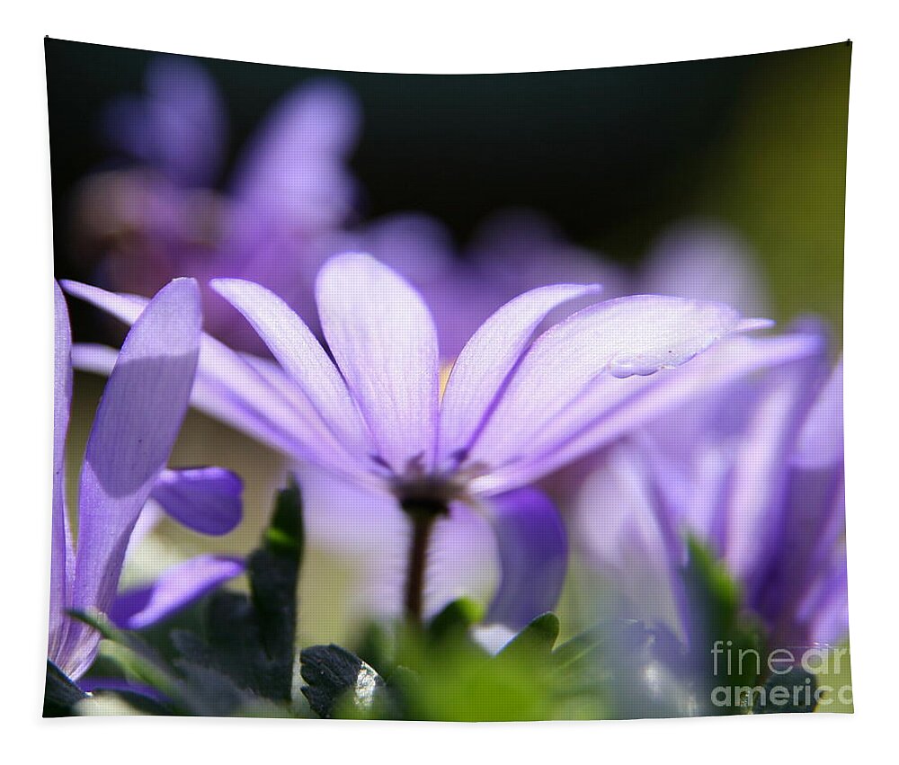 Flower Photography Tapestry featuring the photograph Purple Light by Neal Eslinger