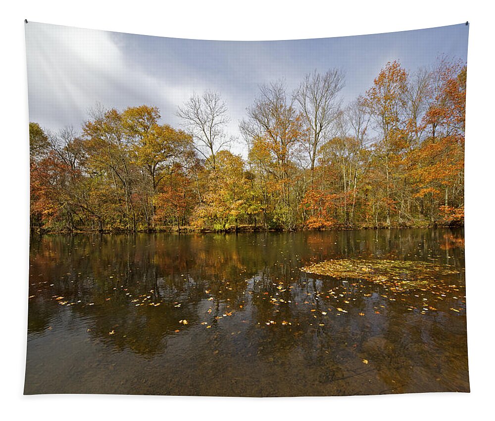 Autumn Tapestry featuring the photograph Reflection of Autumn Colors on the Canal by David Letts