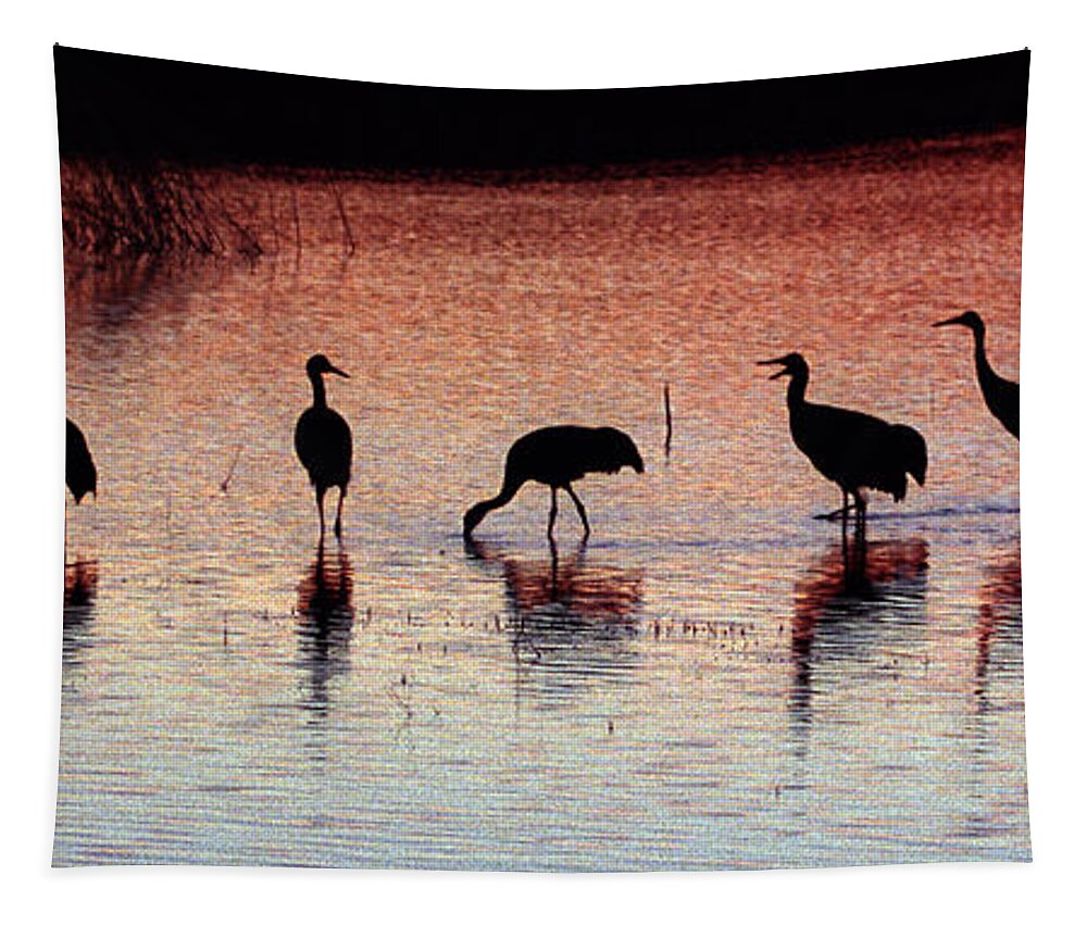 Birds Tapestry featuring the photograph Sandhill Cranes #1 by Steven Ralser