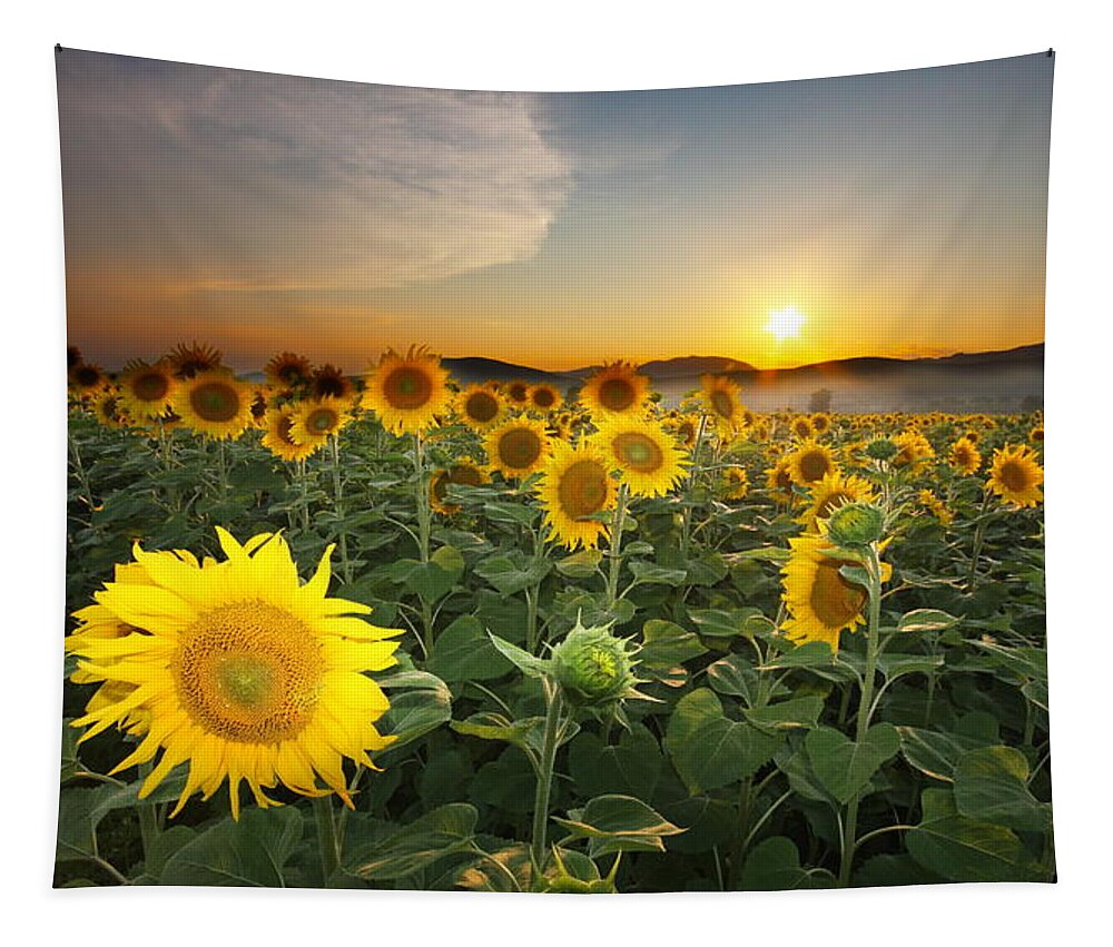 Summer Tapestry featuring the photograph Summer Morning #3 by Mircea Costina Photography