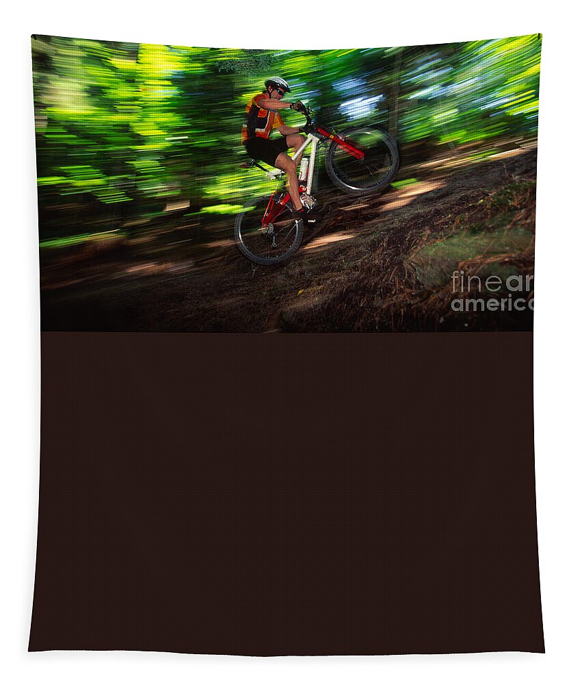 New England Tapestry featuring the photograph Young man mountain biking in a forest Stowe VT USA #3 by Don Landwehrle