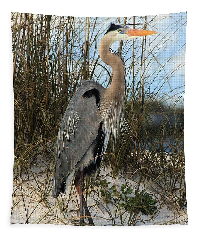 Gulf Islands National Seashore Tapestry featuring the photograph Blending In #5 by Adam Jewell