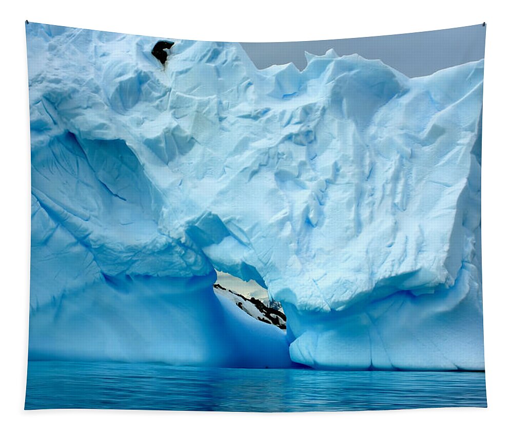 Icebergs Tapestry featuring the photograph Blue Iceberg #4 by Amanda Stadther