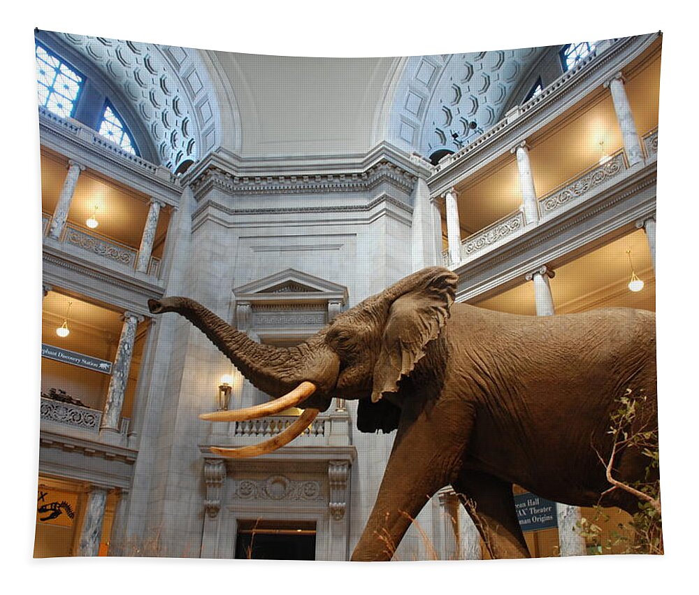 Bull Elephant Tapestry featuring the photograph Bull Elephant in Natural History Rotunda by Kenny Glover