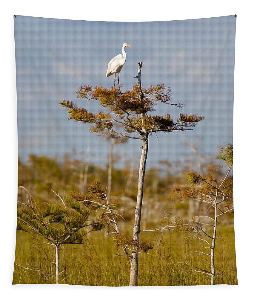 Egret Tapestry featuring the photograph Great White Egret by Raul Rodriguez