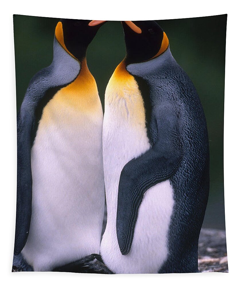 King Penguin Tapestry featuring the photograph King Penguins #4 by Art Wolfe