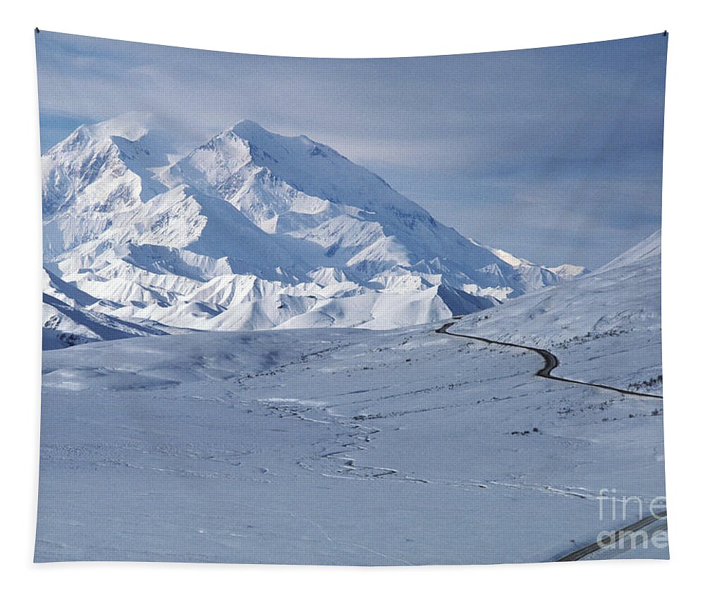 Mountain Tapestry featuring the photograph Mount Mckinley #4 by Ron Sanford