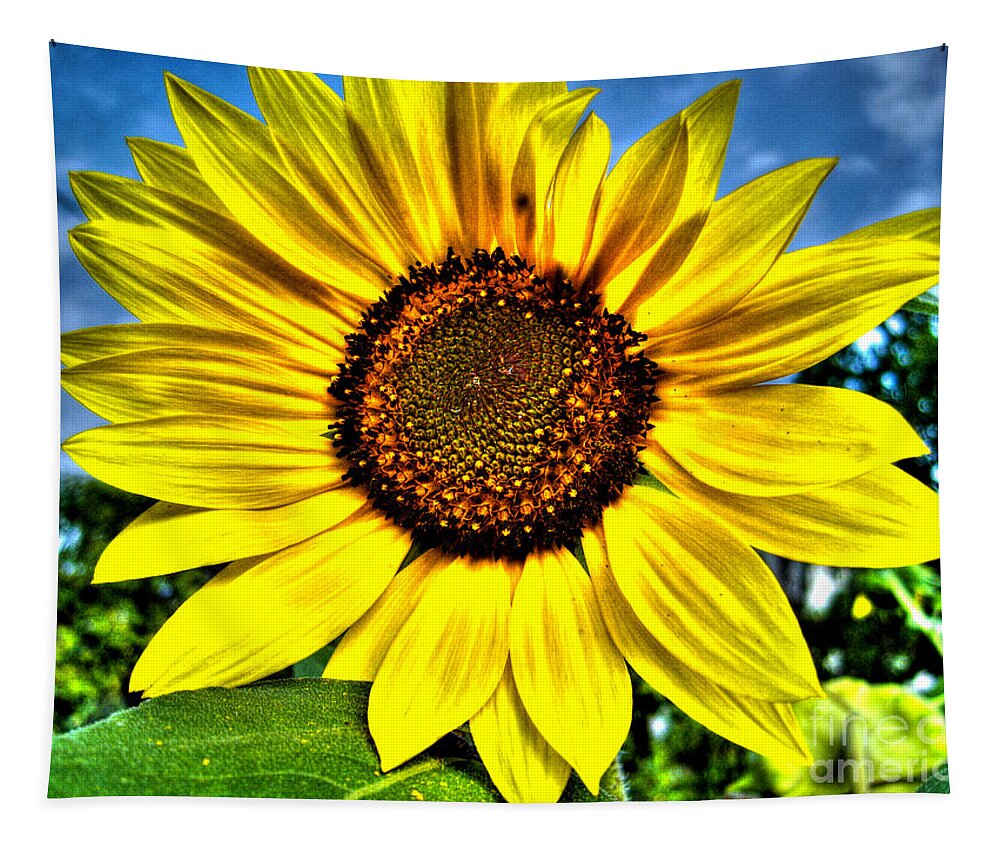 Sunflower Tapestry featuring the photograph Sunflower by Nina Ficur Feenan