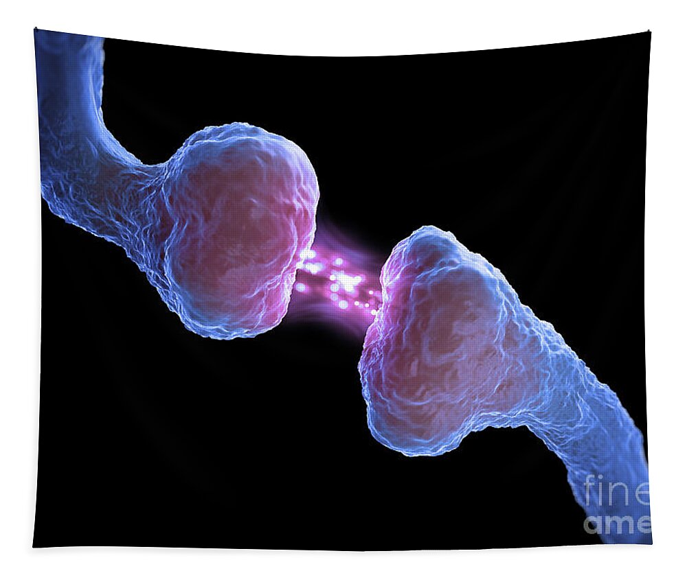 Nerves Tapestry featuring the photograph Synapse #6 by Science Picture Co