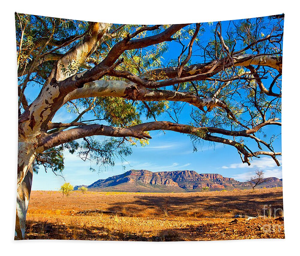 Wilpena Pound Flinders Ranges South Australia Outback Landscape Tapestry featuring the photograph Wilpena Pound by Bill Robinson