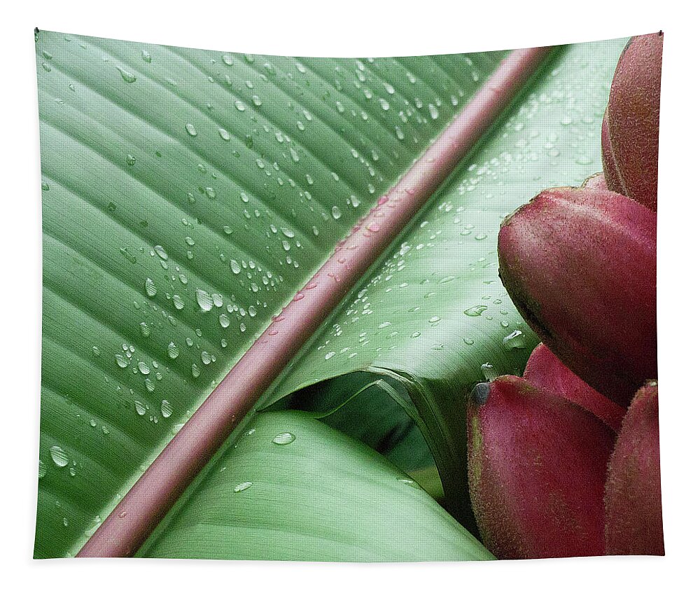 Banana Tapestry featuring the photograph Banana Leaf by Heiko Koehrer-Wagner