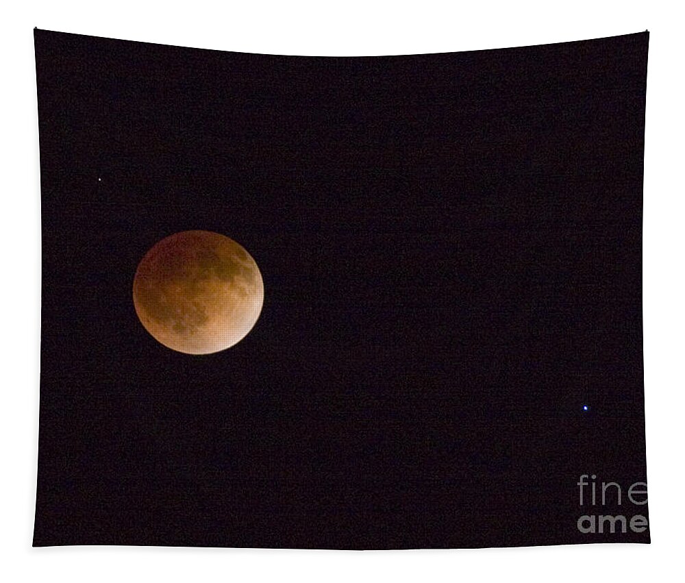 Moon Tapestry featuring the photograph Blood Moon #5 by Steven Krull
