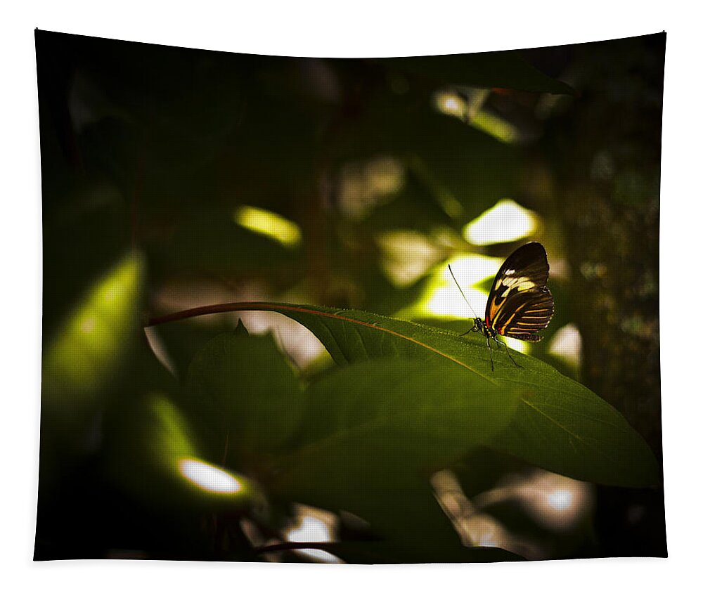 Butterfly Tapestry featuring the photograph Butterfly #14 by Bradley R Youngberg