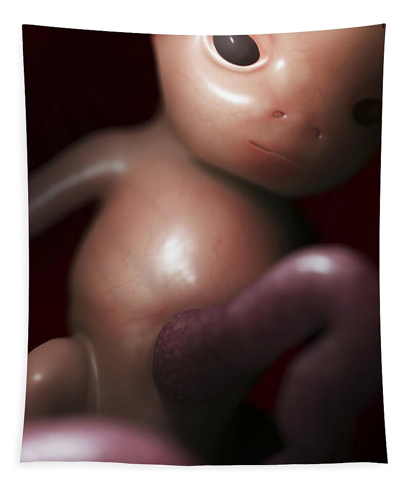 Develop Tapestry featuring the photograph Developing Fetus Week10 #5 by Science Picture Co