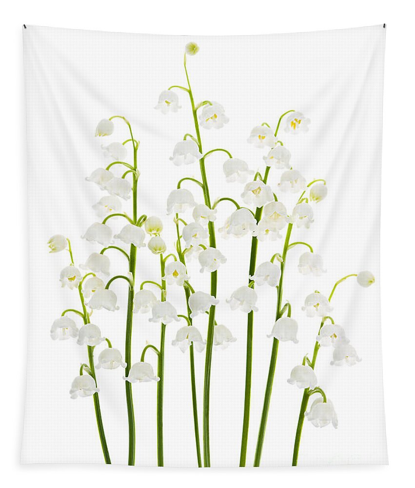 Flower Tapestry featuring the photograph Lily-of-the-valley flowers arrangement by Elena Elisseeva