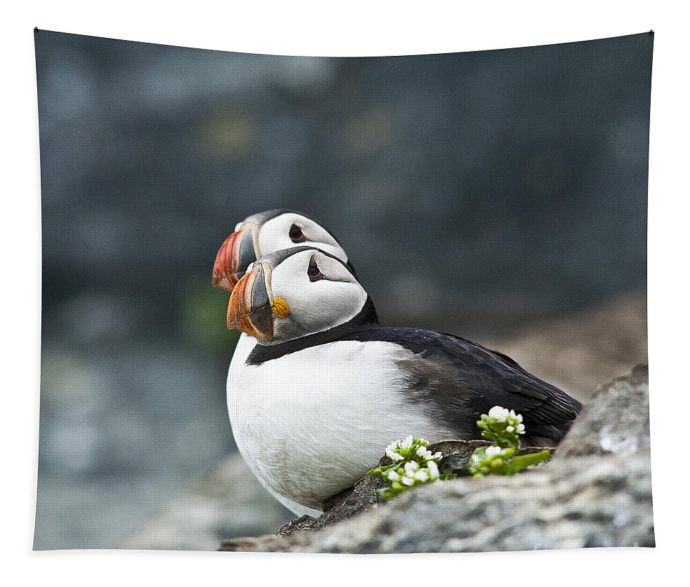 Puffin Tapestry featuring the photograph Two Puffins on a Rock with Flowers by Heiko Koehrer-Wagner