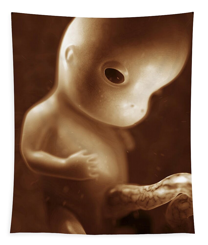 Develop Tapestry featuring the photograph Developing Fetus Week10 #6 by Science Picture Co