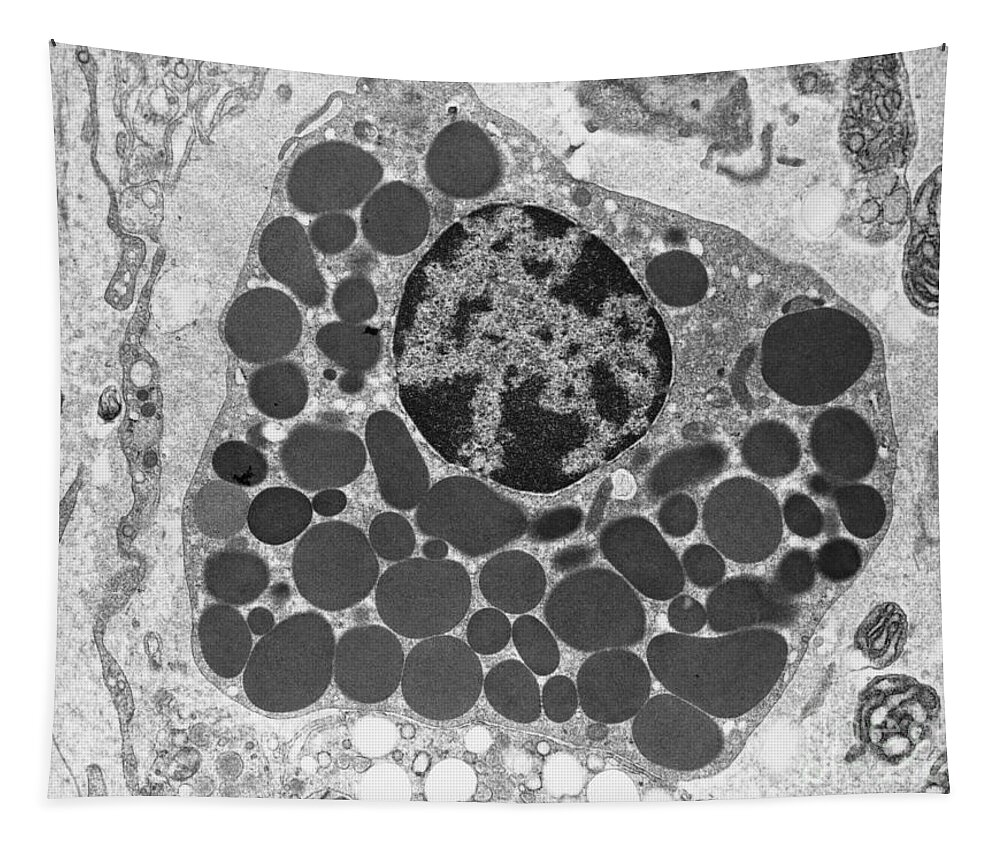 Bw Tapestry featuring the photograph Mast cell TEM by David M Phillips