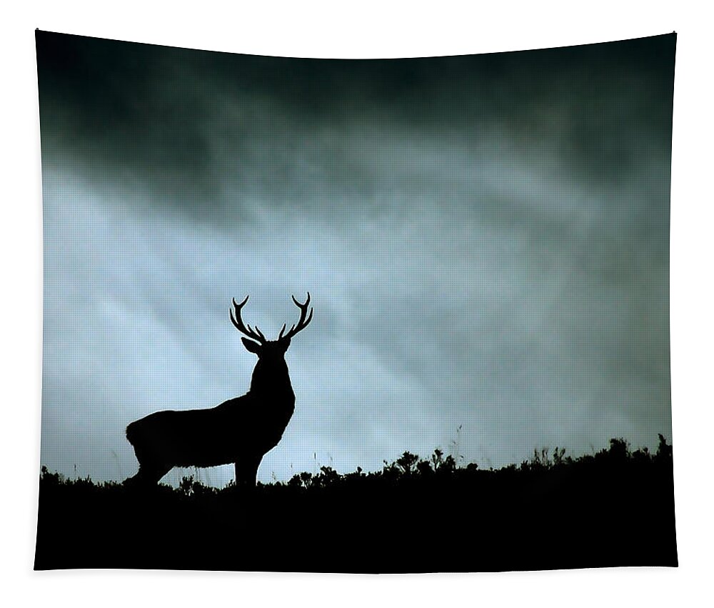 Stag Silhouette Tapestry featuring the photograph Stag silhouette #7 by Gavin Macrae