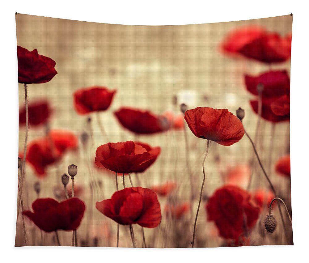 Poppy Tapestry featuring the photograph Summer Poppy by Nailia Schwarz