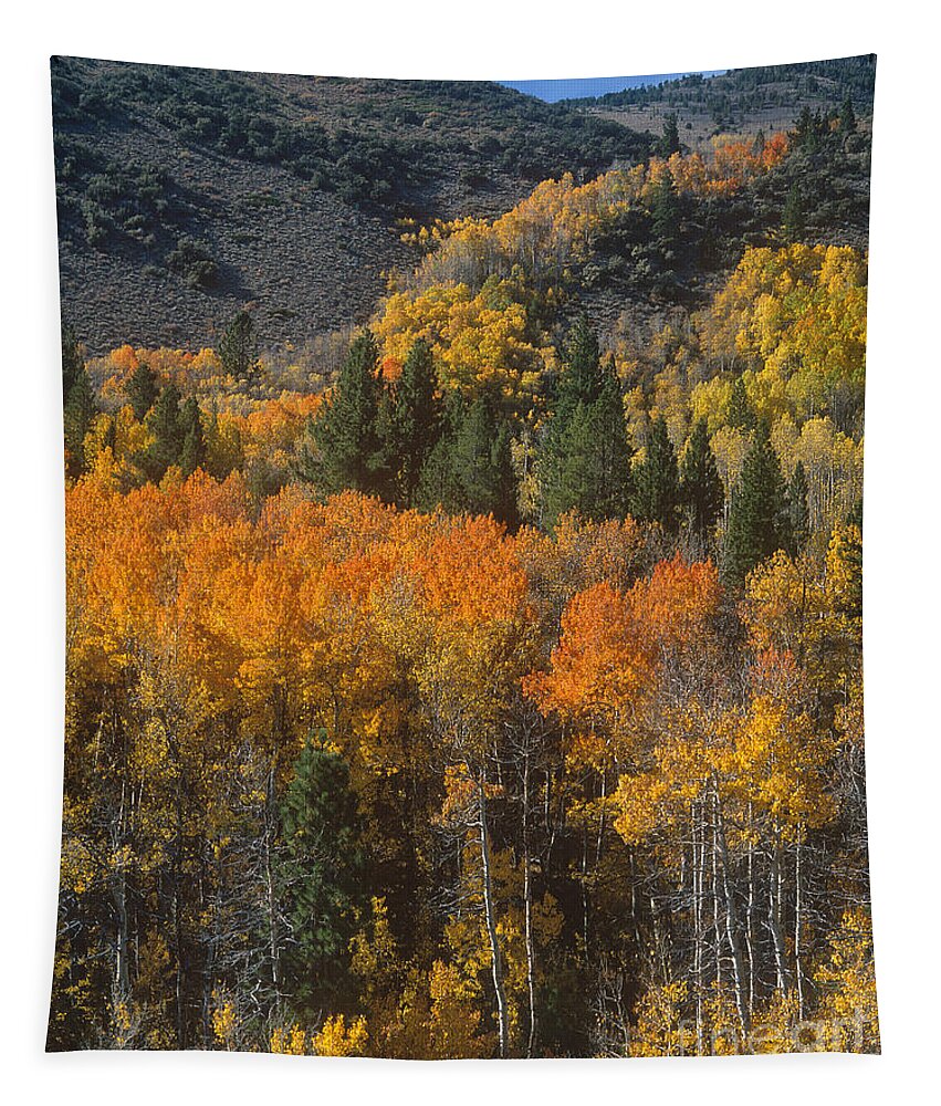 Dave Welling Tapestry featuring the photograph 742900067 Fall Color Lundy Canyon Eastern Sierras California by Dave Welling