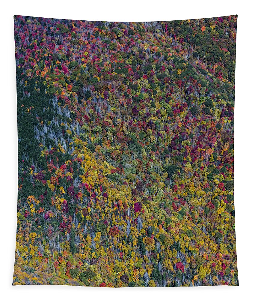 Blue Ridge Parkway Tapestry featuring the photograph Autumn Colors Along The Blue Ridge Parkway in Western North Carolina #8 by David Oppenheimer