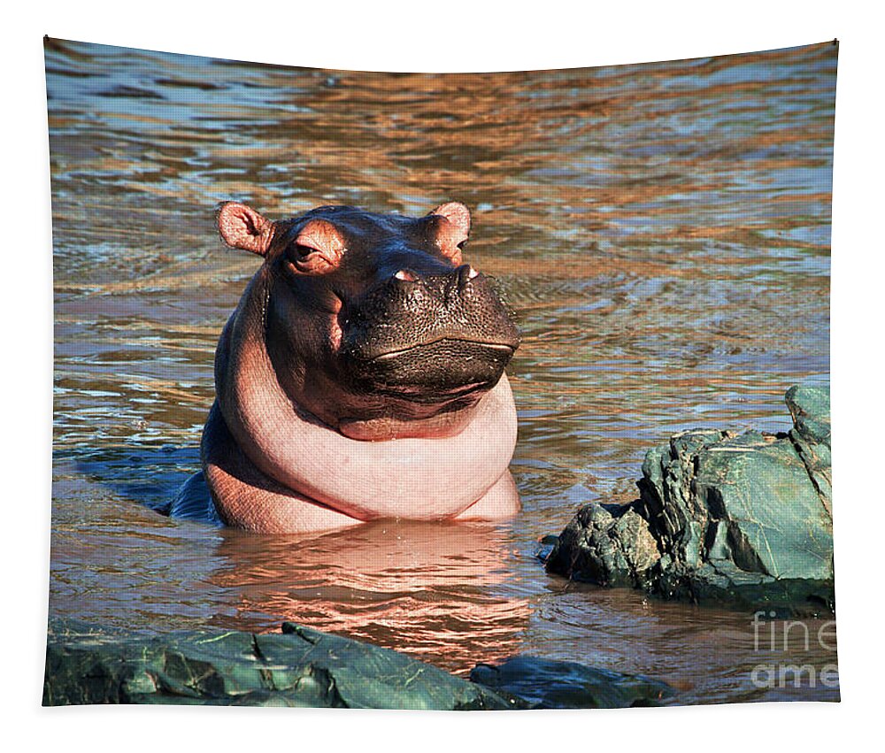 Hippo Tapestry featuring the photograph Hippopotamus in river. Serengeti. Tanzania #8 by Michal Bednarek