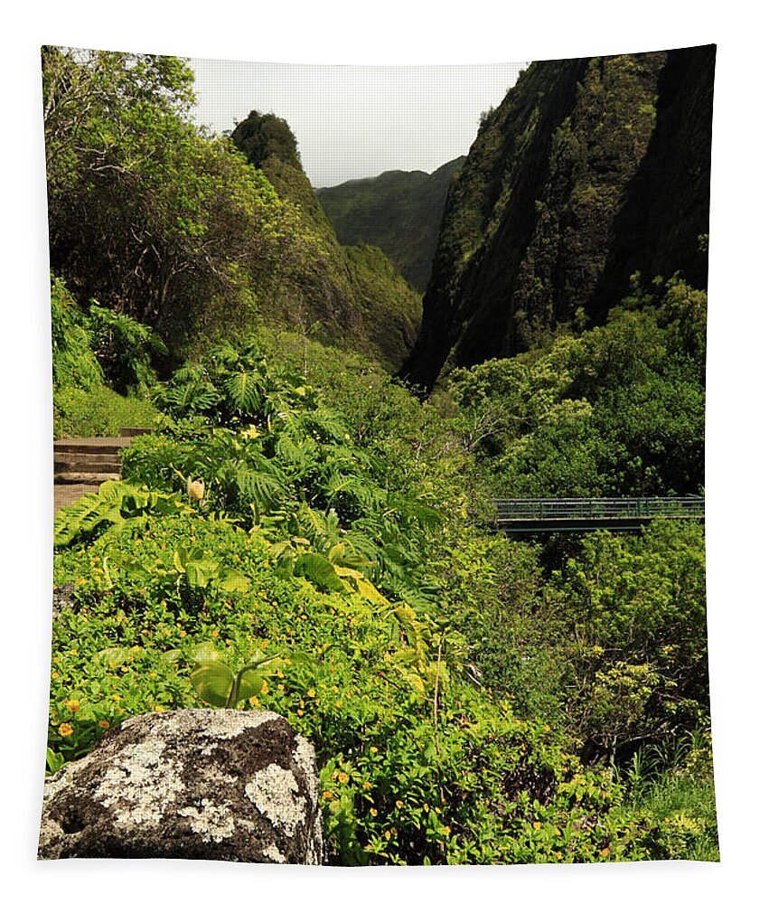 Iao Needle Tapestry featuring the photograph A Bridge To The Iao Needle by James Eddy