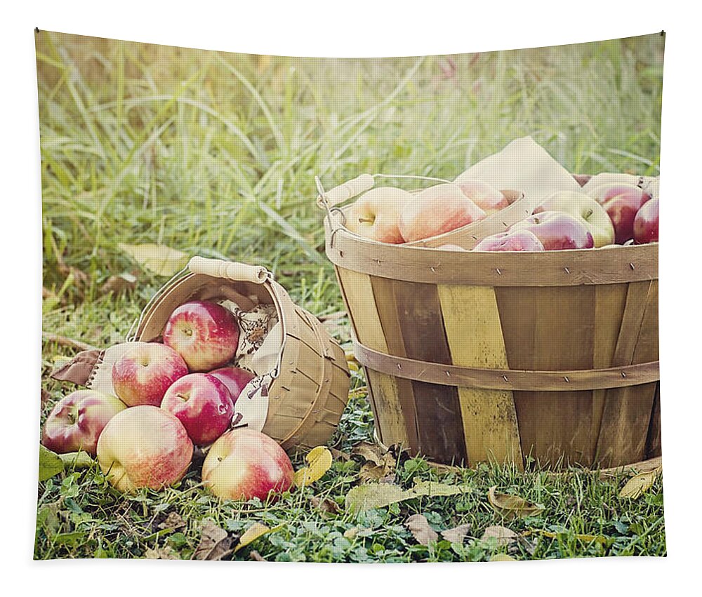 Peck Of Apples Tapestry featuring the photograph A Bushel and a Peck by Heather Applegate