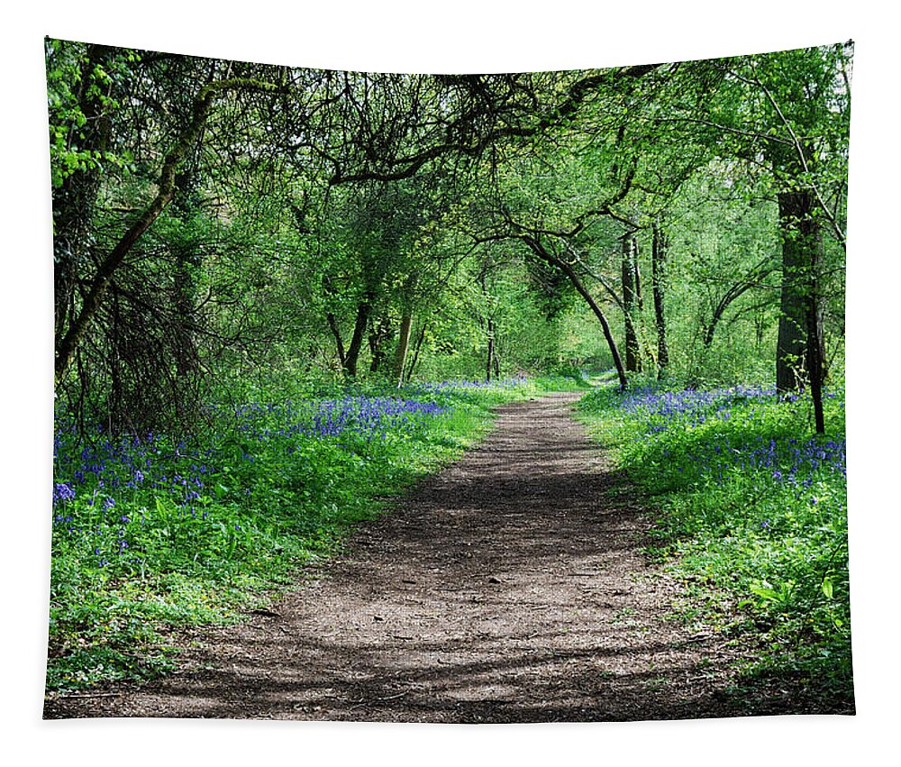 Woods Tapestry featuring the photograph A Carpet Of Colour 2 by Wendy Wilton
