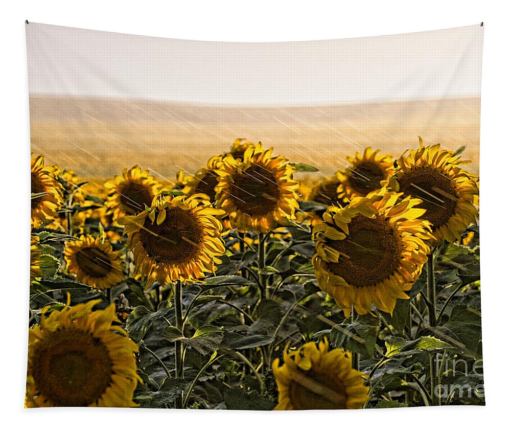 Flowers Tapestry featuring the photograph A Chance of Showers by Jim Garrison