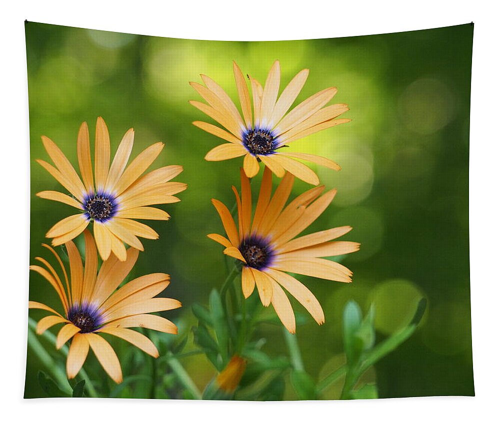 Flowers Tapestry featuring the photograph A Cheerful Symphony by Dorothy Lee