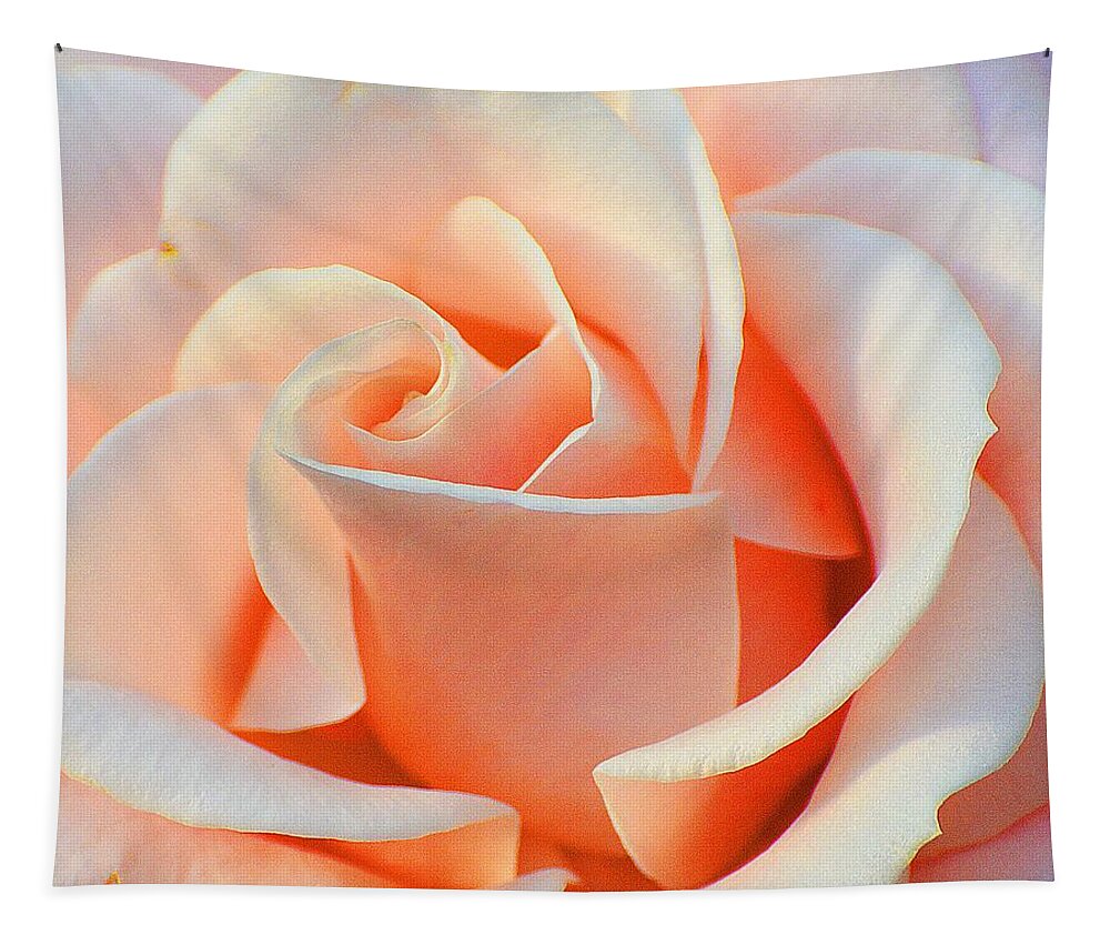 Rose Tapestry featuring the photograph A Delicate Rose by Cindy Manero