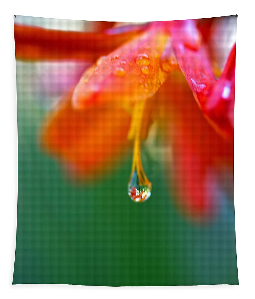 Water Droplet Tapestry featuring the photograph A Delicate Touch - Water Droplet - Orange Flower by Marie Jamieson