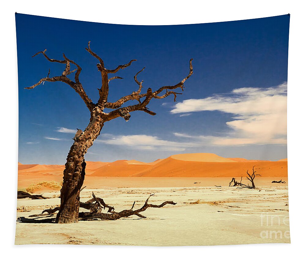 Desert Tapestry featuring the photograph A desert story by Juergen Klust